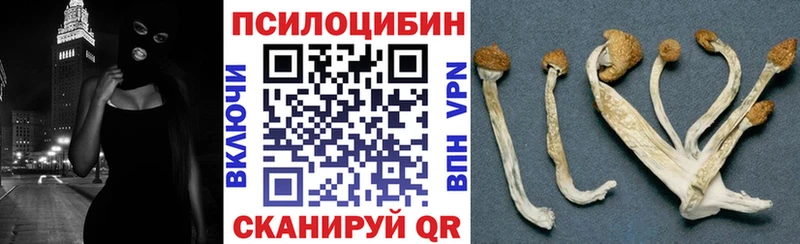 Псилоцибиновые грибы мухоморы Далматово